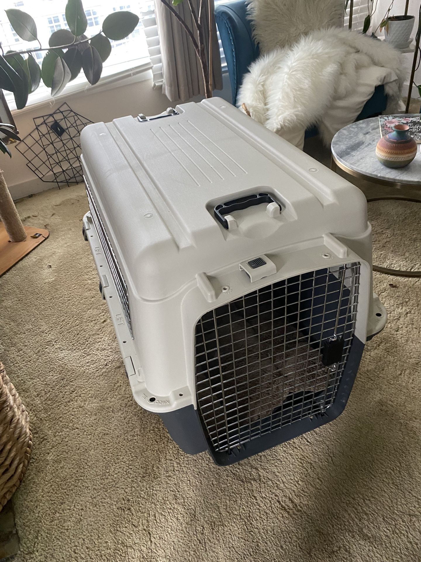 Xxl Large Dog Crate 