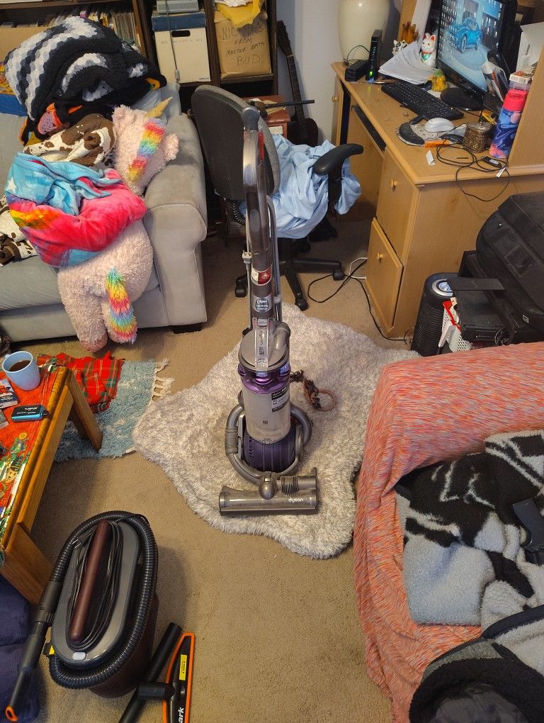 Dyson Ball Vacuum