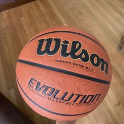 WILSON EVO BASKETBALL 