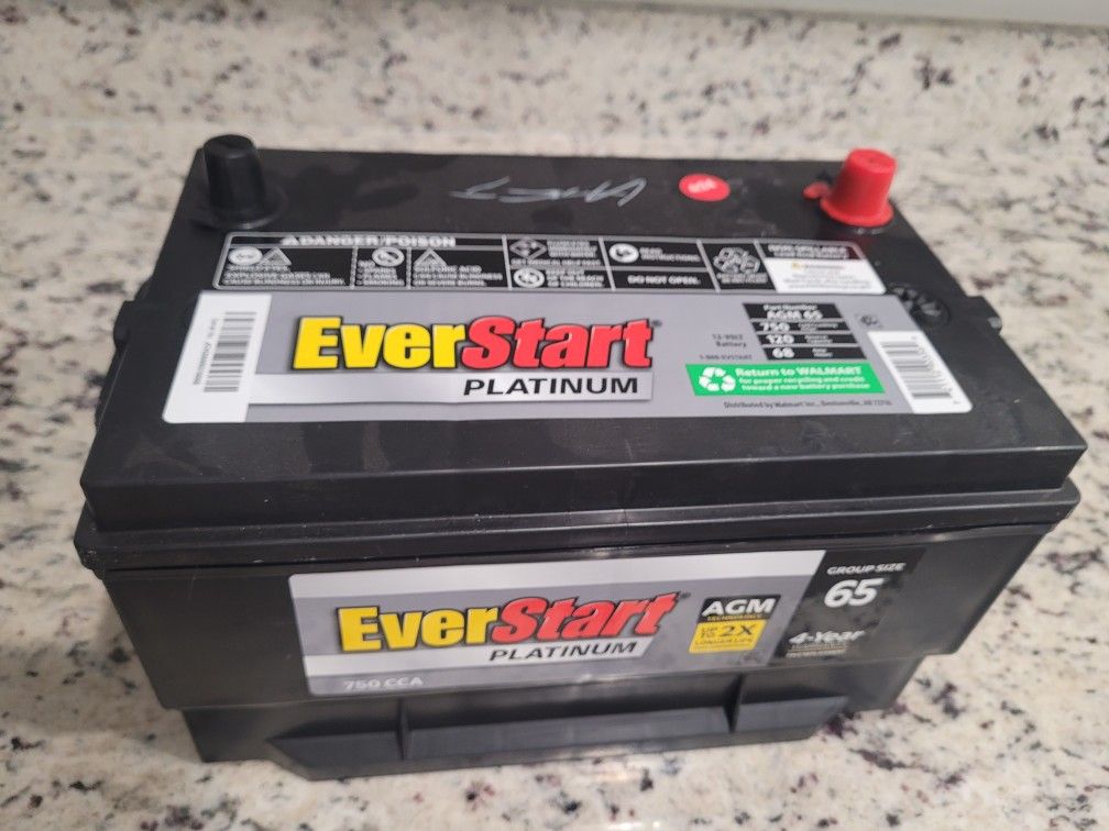 Everstart Platnium Battery Agm Technology New 