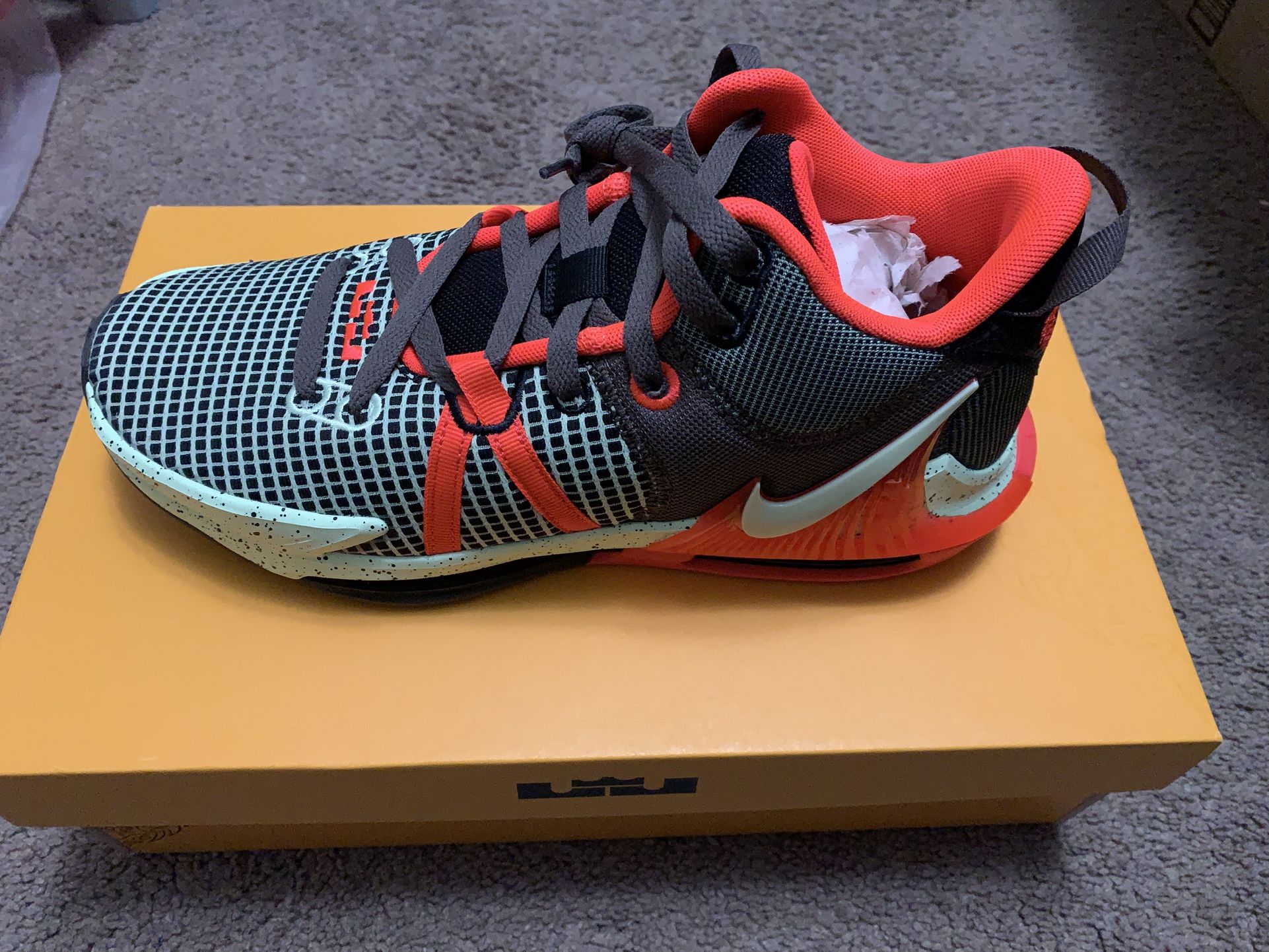 Nike Shoes (Lebron James)