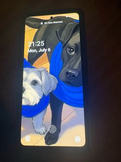 Galaxy s20 fe Unlocked