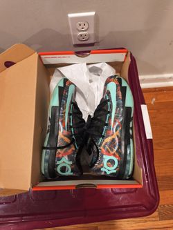 Kd's 4 1/2 Y