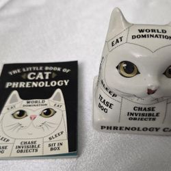Cat Figurine and Booklet Read Your Cats Mind Phrenology NEW with NO BOX