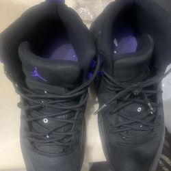 Jordan 12 - Black & Purple