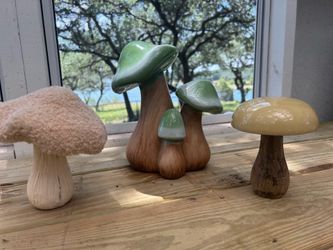 ✨Lot of Artistic Mushrooms (Lago Vista)✨