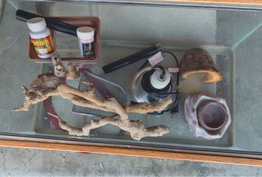 15 Gallon Tank & accessories
