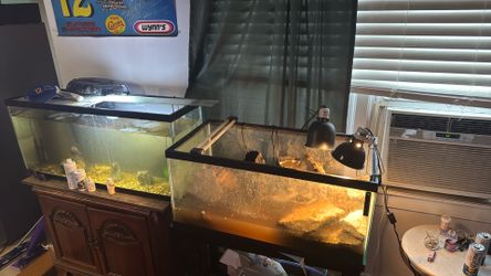 Fish Tanks, Fish, Turtles, Heaters, Filters Ect