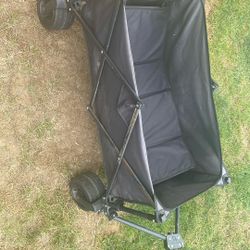 Wagon 