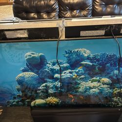 Fish tank hundred gallon and fish stand table