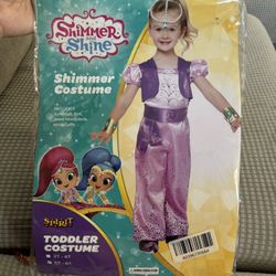 Shimmer And Shine Costumes 