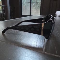 Salvatore Ferragamo Sunnies 