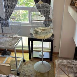 Bird Cage And Stand