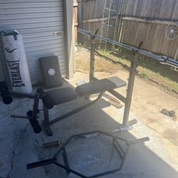 Weight Bench and Bars