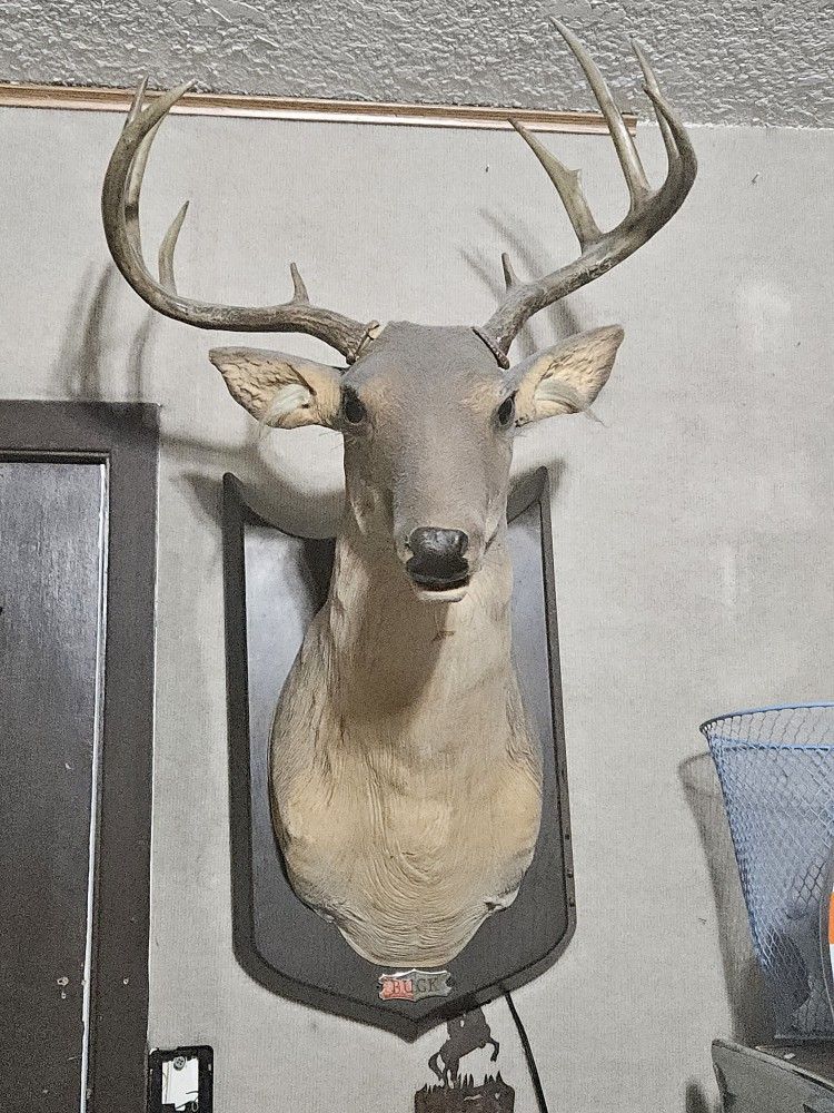 Buck the Animated singing & talking deer