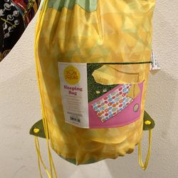 Sleeping Bag 