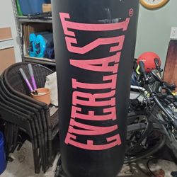 Everlast Heavy Boxing Bag
