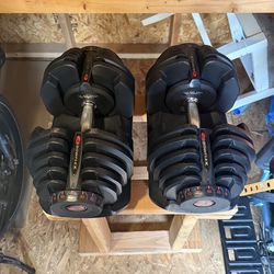 Bowflex 1090 dumbbells
