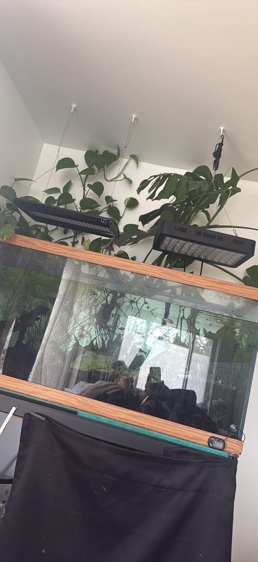 Aquarium Moving Sale 