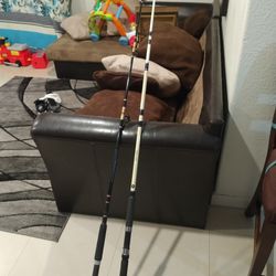 Spinning Fishing Rods
