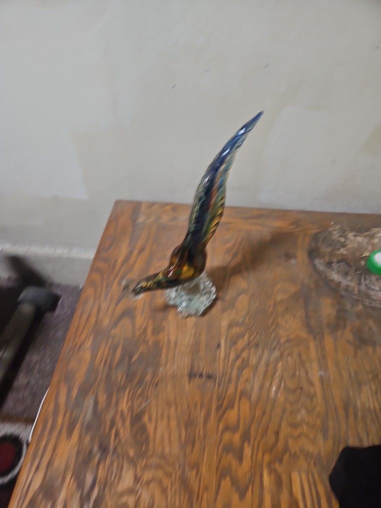 Glass Pheasant