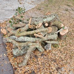 Free Oak Fire Wood 