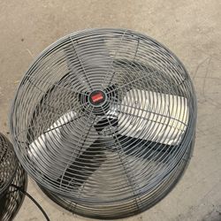 Fan