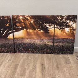 Morning meadow Canvas Art Work 