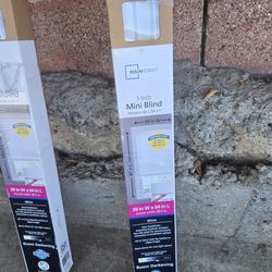 Mini blinds for window