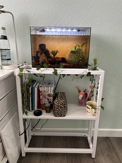 5 gallon Aquarium And Stand OBO