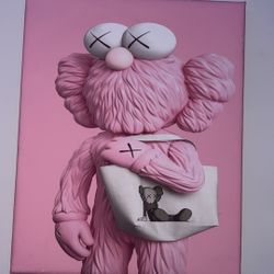 Kaws Picture 
