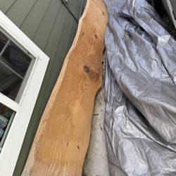 Live Edge Slab 11’