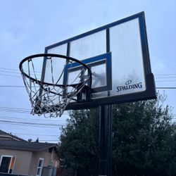 Spalding Basketball Hopp