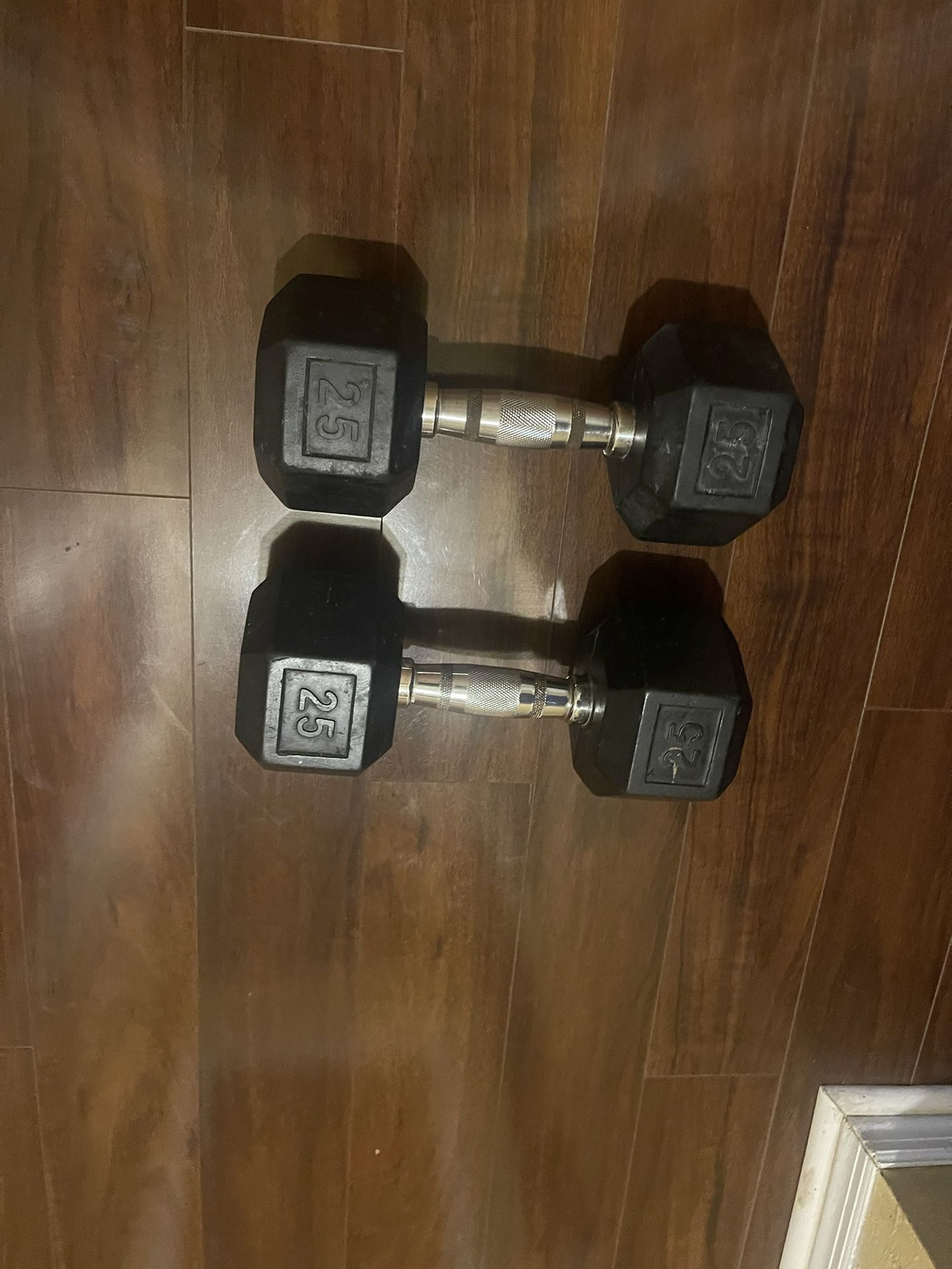 25lb Dumbbells