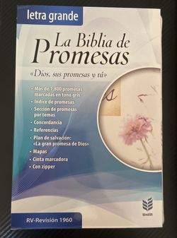 BIBLIA DE MUJER LETRA GRANDE