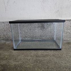 10 Gallon Tank / Aquarium With Screen Top