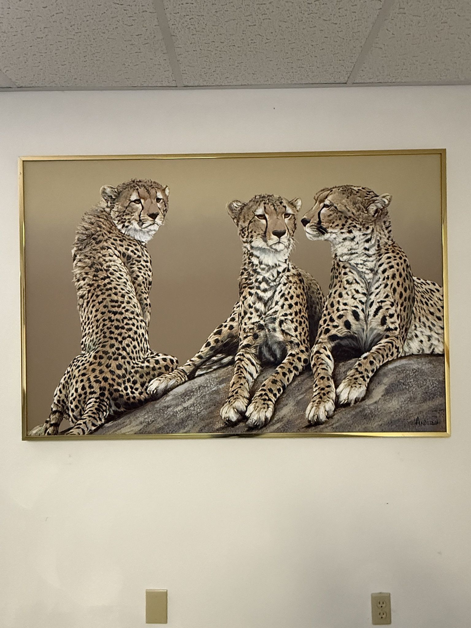Cheetah Painting, Anderson 
