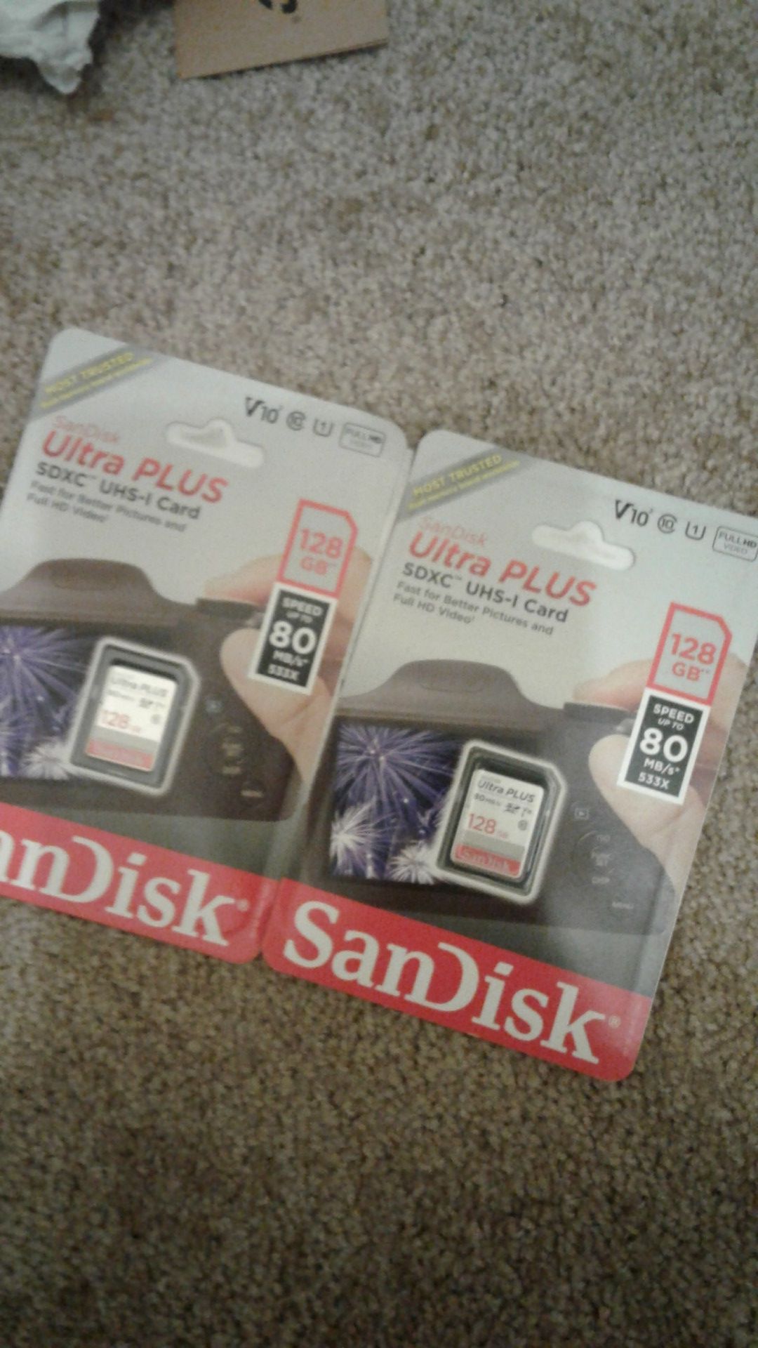 Sandisk