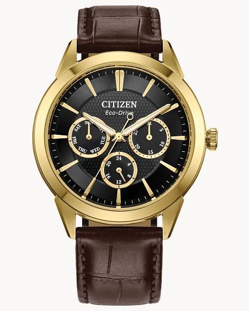 Citizen Eco-Drive 