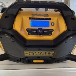 Dewalt Radio Tool Only
