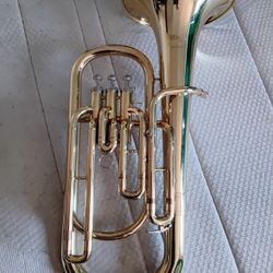 Horns and Congas Pair CLEARANCE