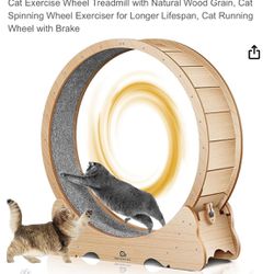 Cat Treadmill For free