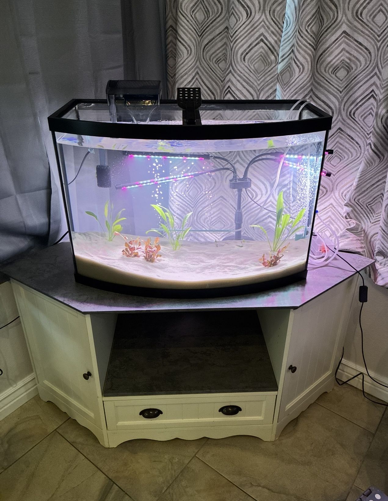 Bow Front Fish Tank 