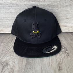 Gorras snapback hat 🧢 tomateros de culiacan 