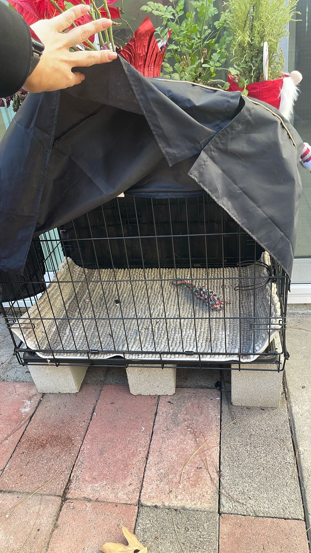 Dog Crate