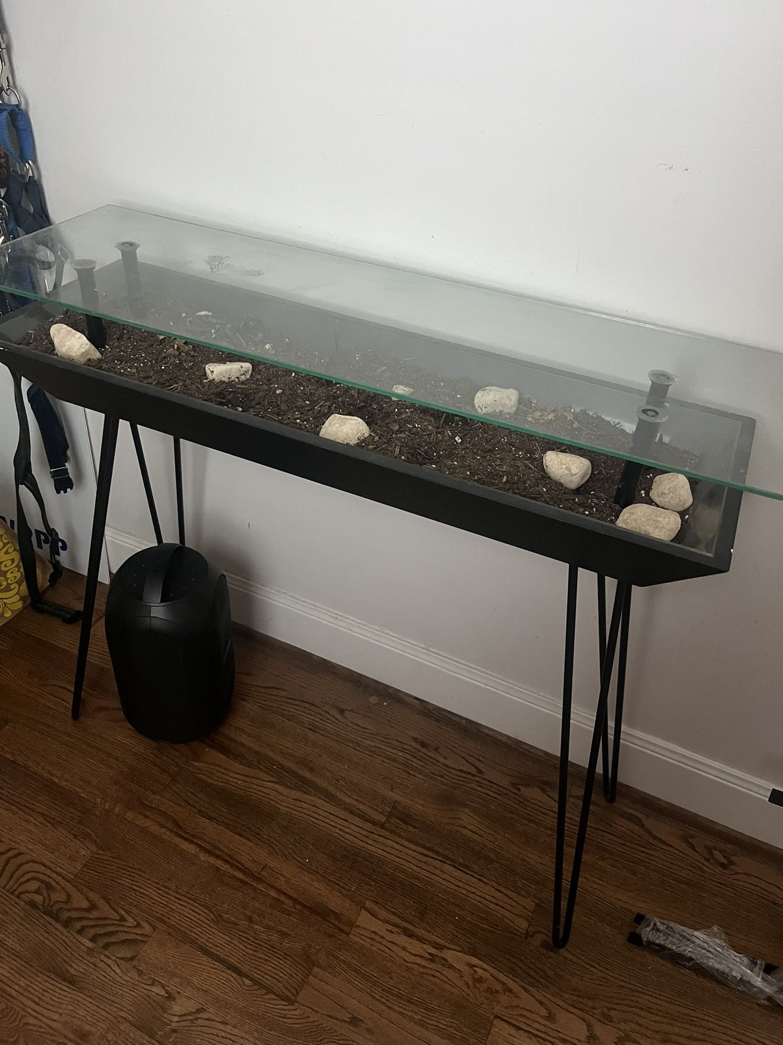 Blooming table plant Entry Table