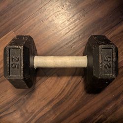 25LB Steel Dumbbell 