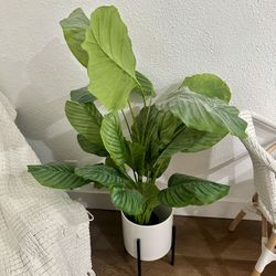 Fake Plant and Pot