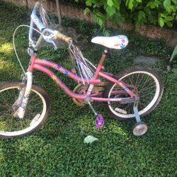 Gro Baicikl 40$