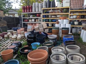 6/4/22 - Basically Just A Bunch Of Pots And Plants For Sale